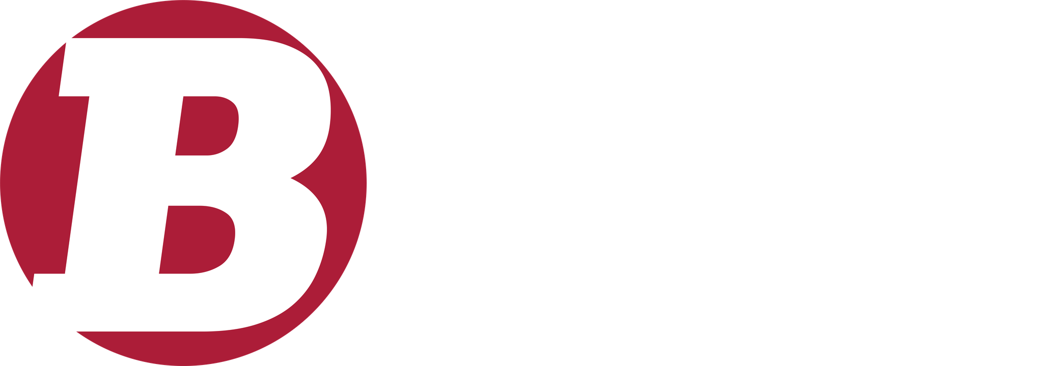 Badiee Development