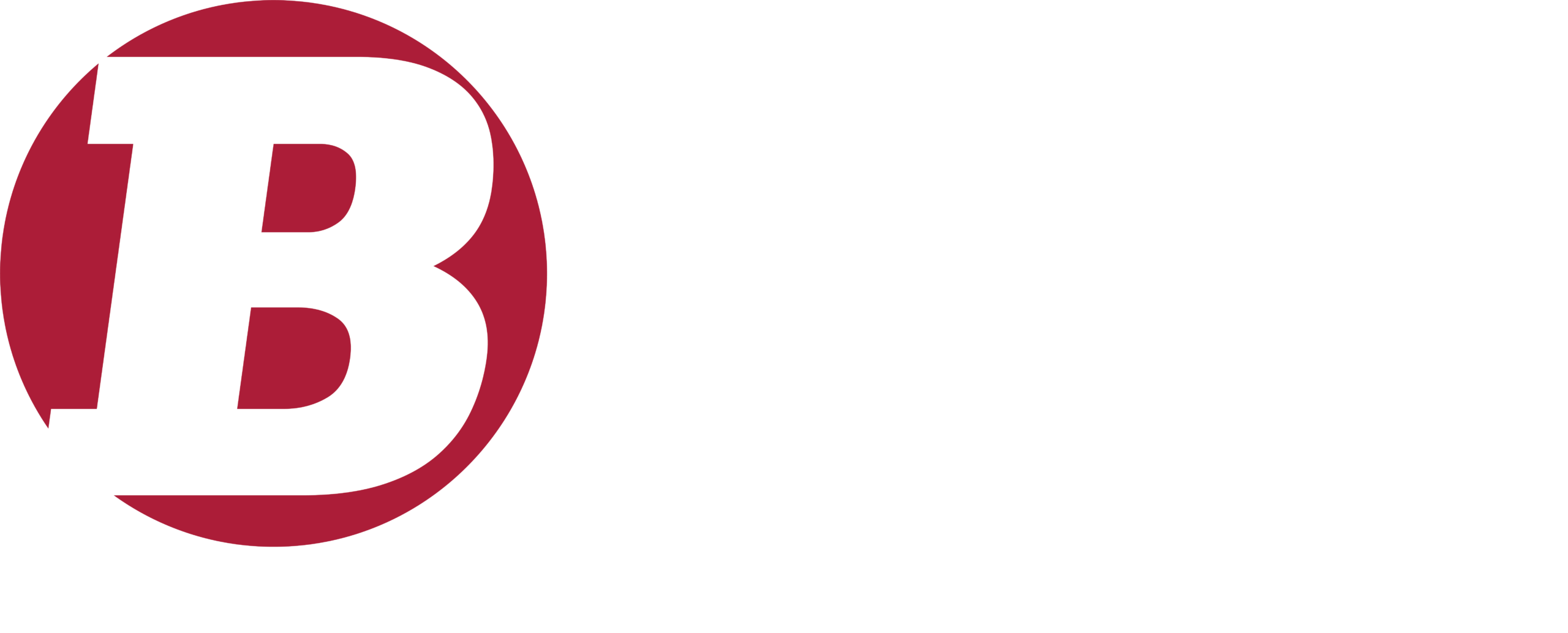 Badiee Development